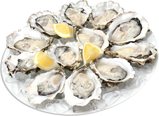 Oysters